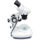Binocular Microscope ZTX-20-C2  (20x; 2x/4x) Preview 3